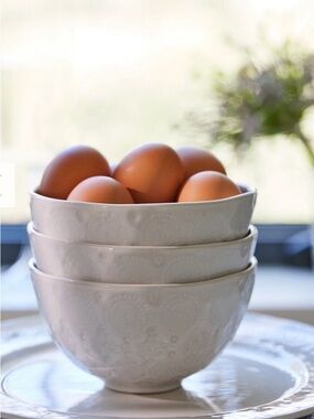 Old Havana Set of 4 Cereal Bowls from Anthropologie New